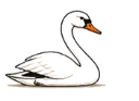 Swans