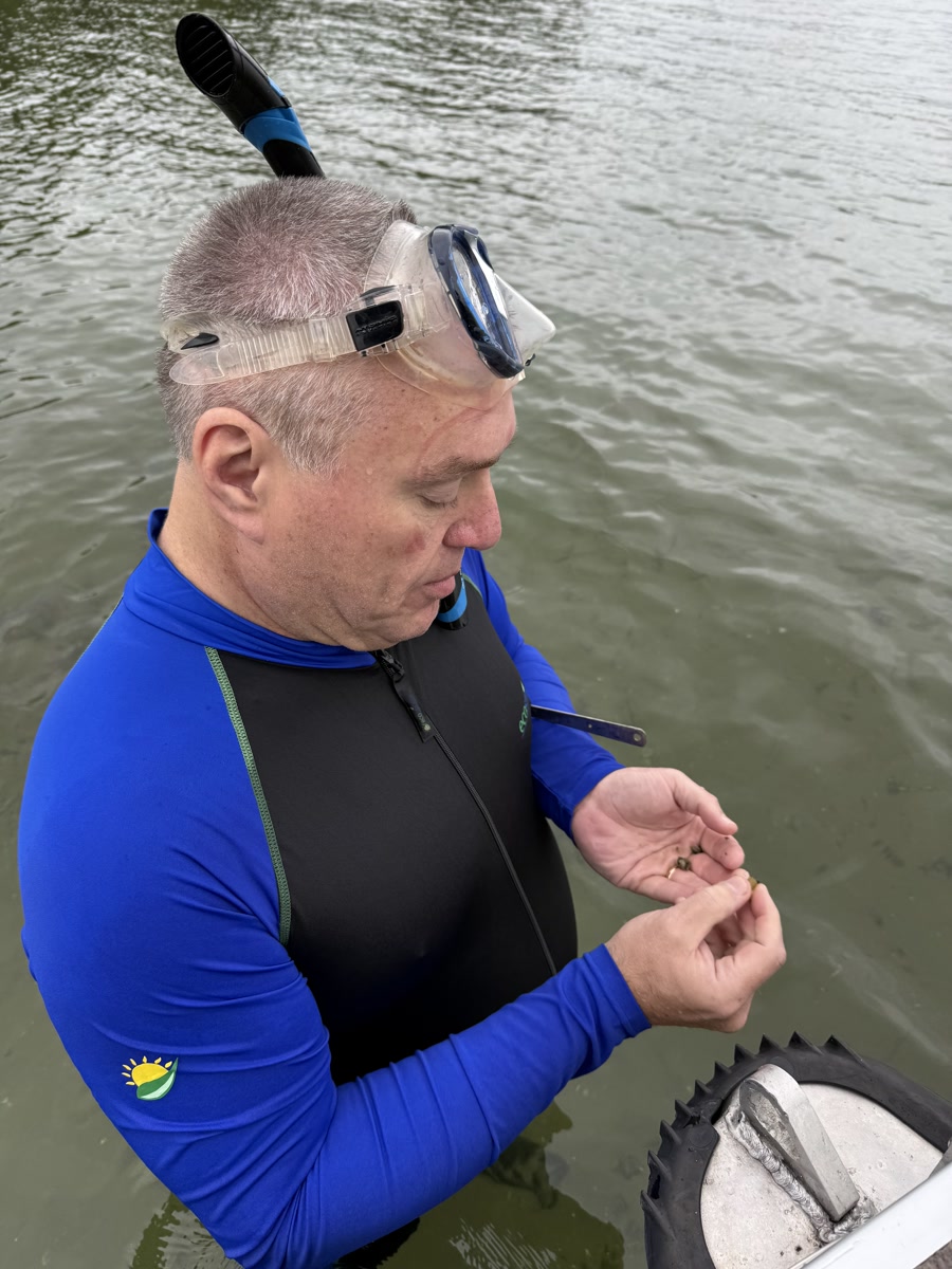 Researcher examining snail specimens collected from a northern lake