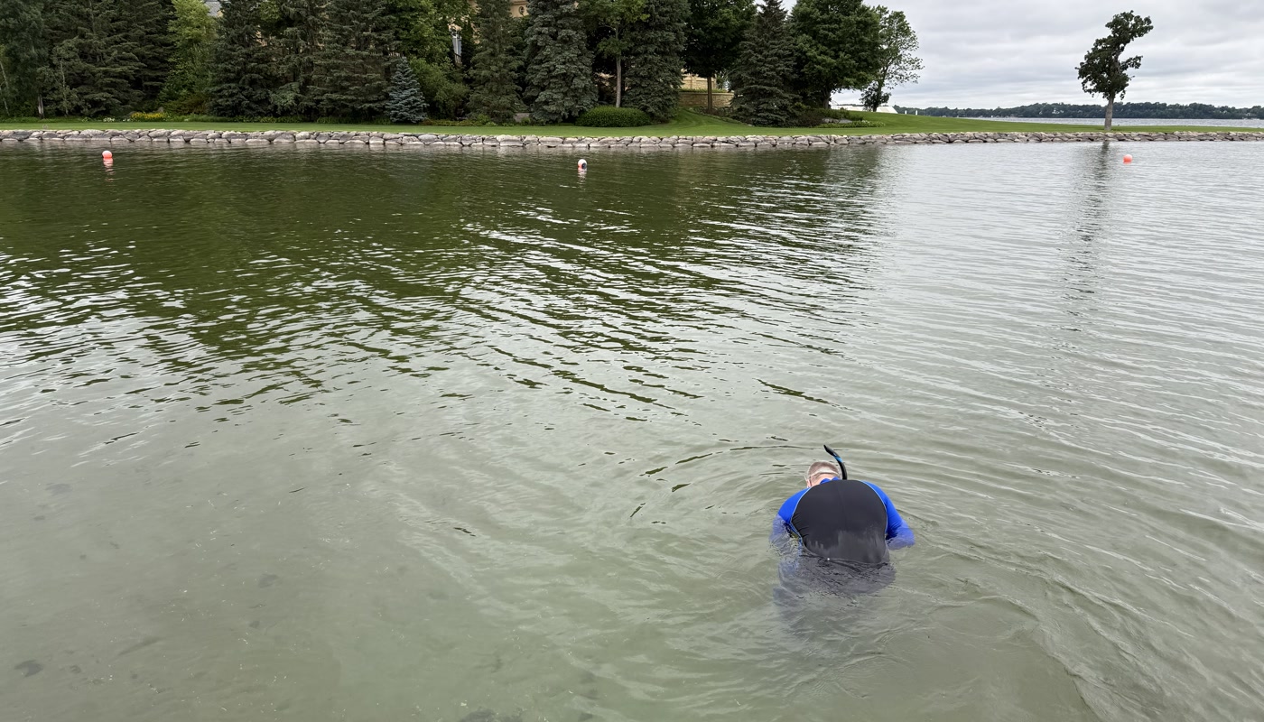 Researcher wading in lake to collect snail samples